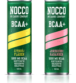 nocco BCAA